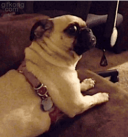 微信图片_20180806093320.gif