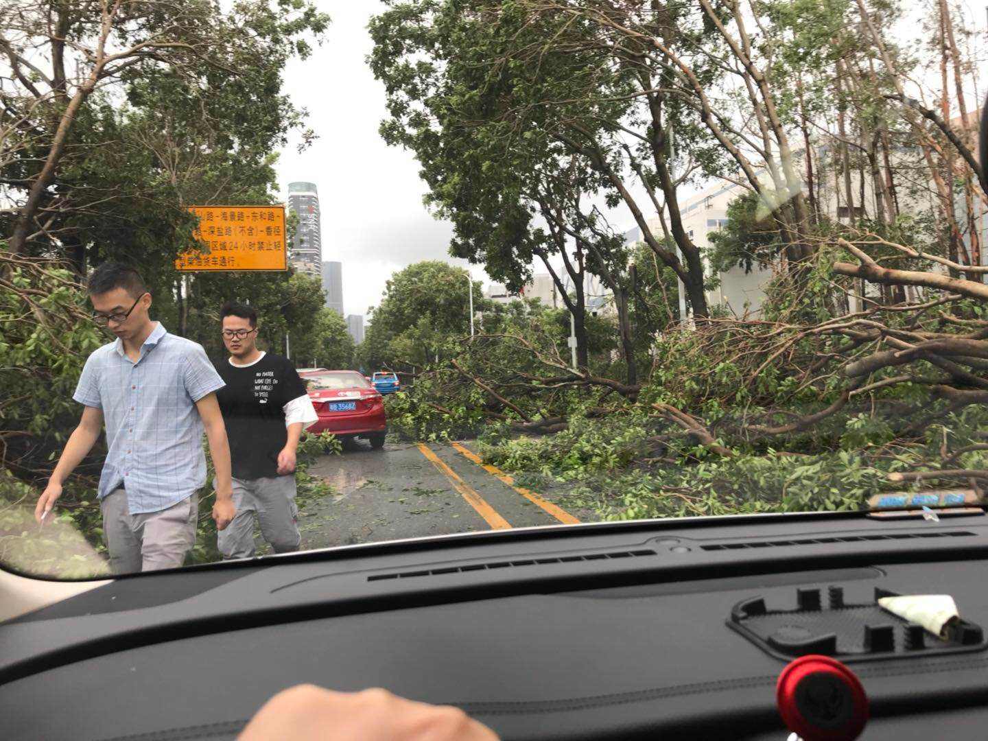 台风山竹肆虐后被蹂躏的