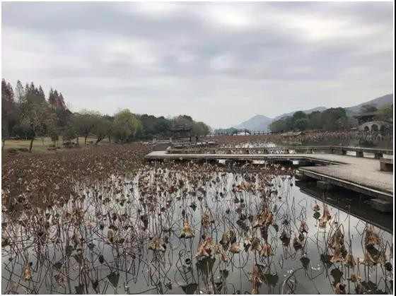 微信图片_20190109085226.jpg