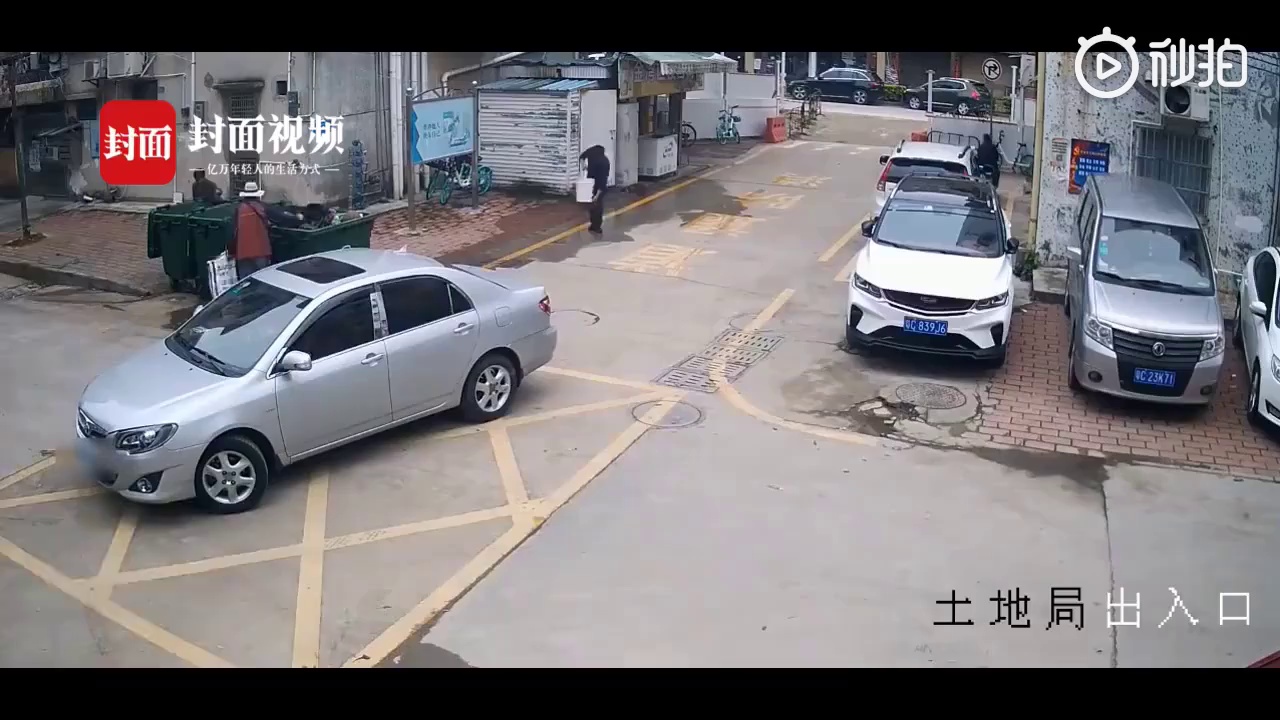女儿倒车撞树，换酒后老爸一顿骚操作猛如虎