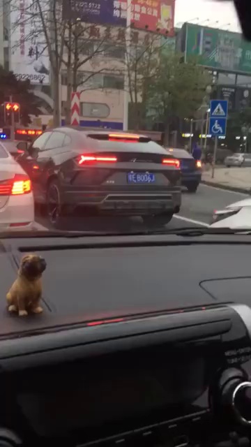 这是比亚迪什么车型,还挺好看的,贵吗?