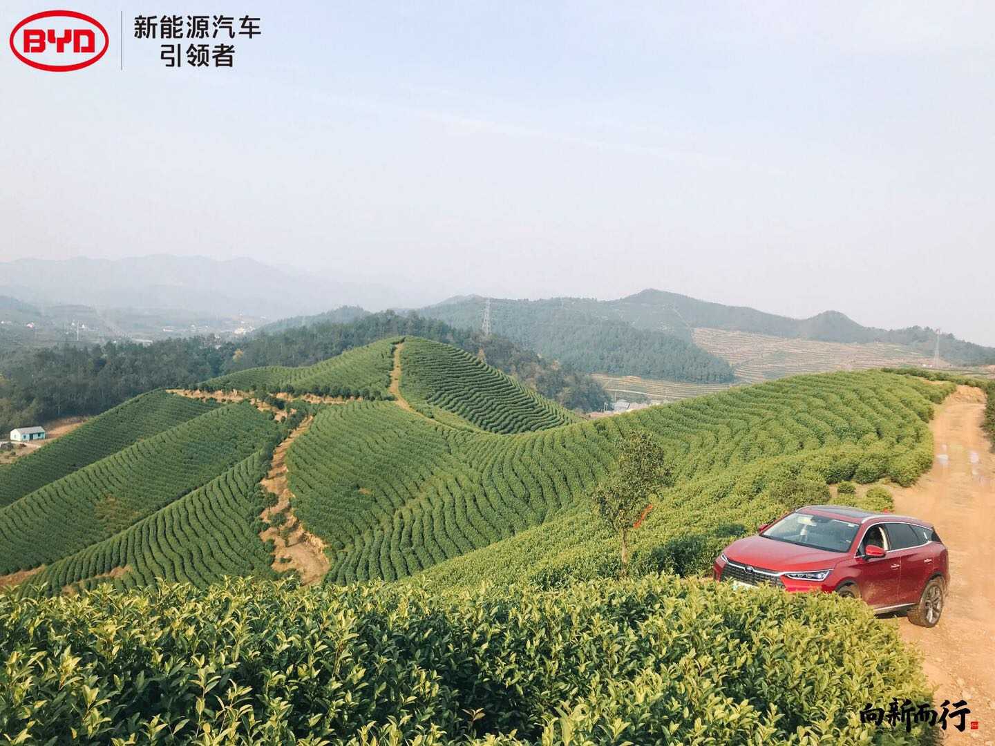 远景来一张，春天的气息浓厚～