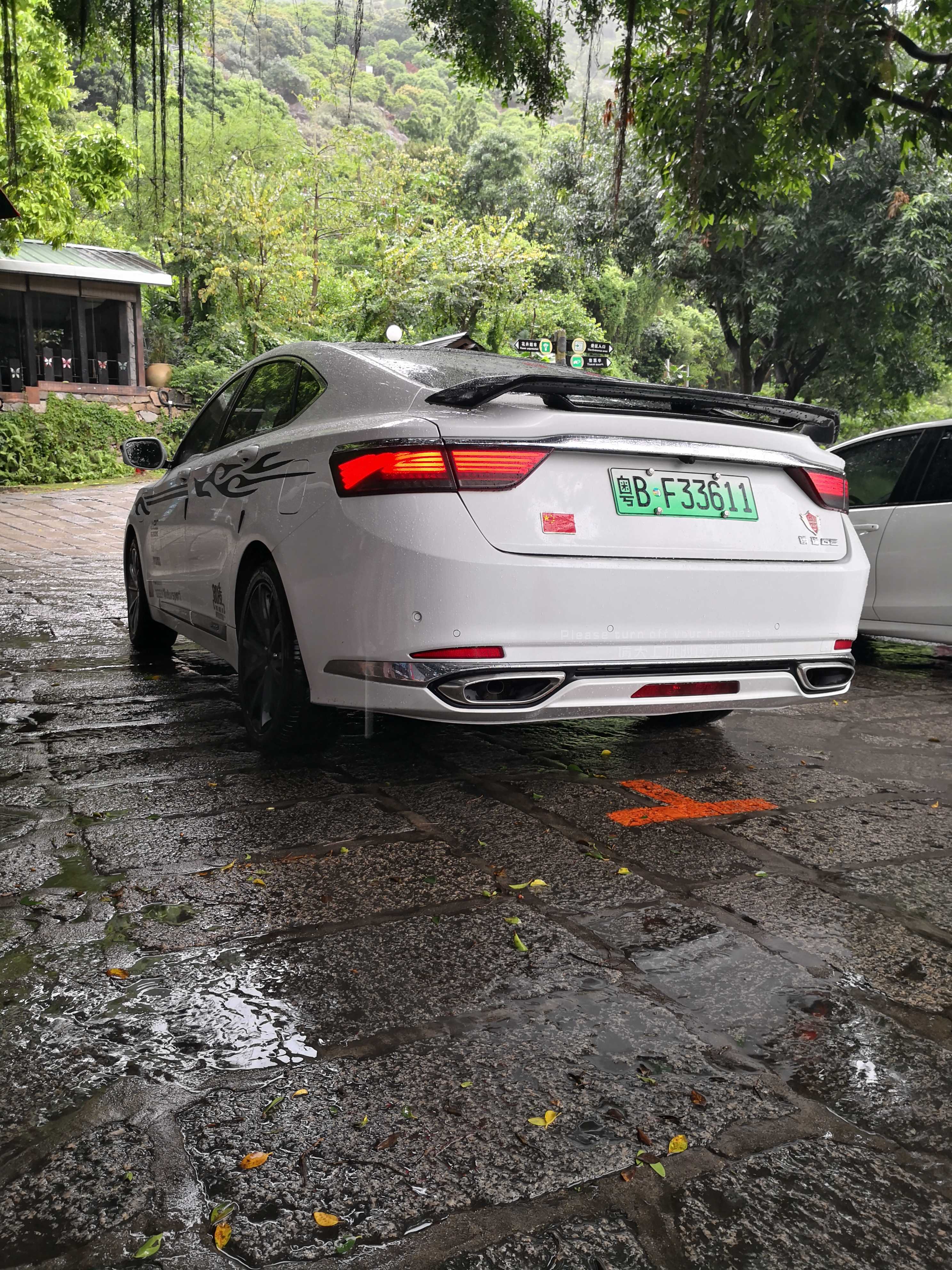 雨中的你，洁白无瑕，调皮😜又不失一点稳重