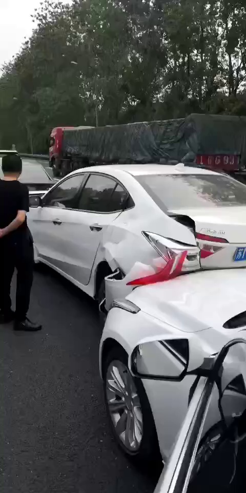 日本车这种表现很正常，一只🐔都能把它撞个