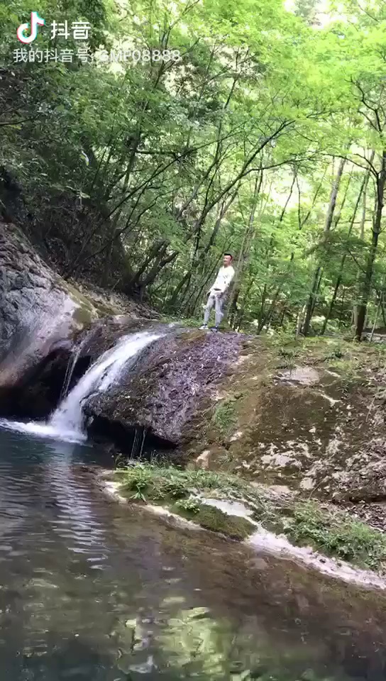 秦岭风光美如画，终南自古神仙家！在这里修炼养生功法