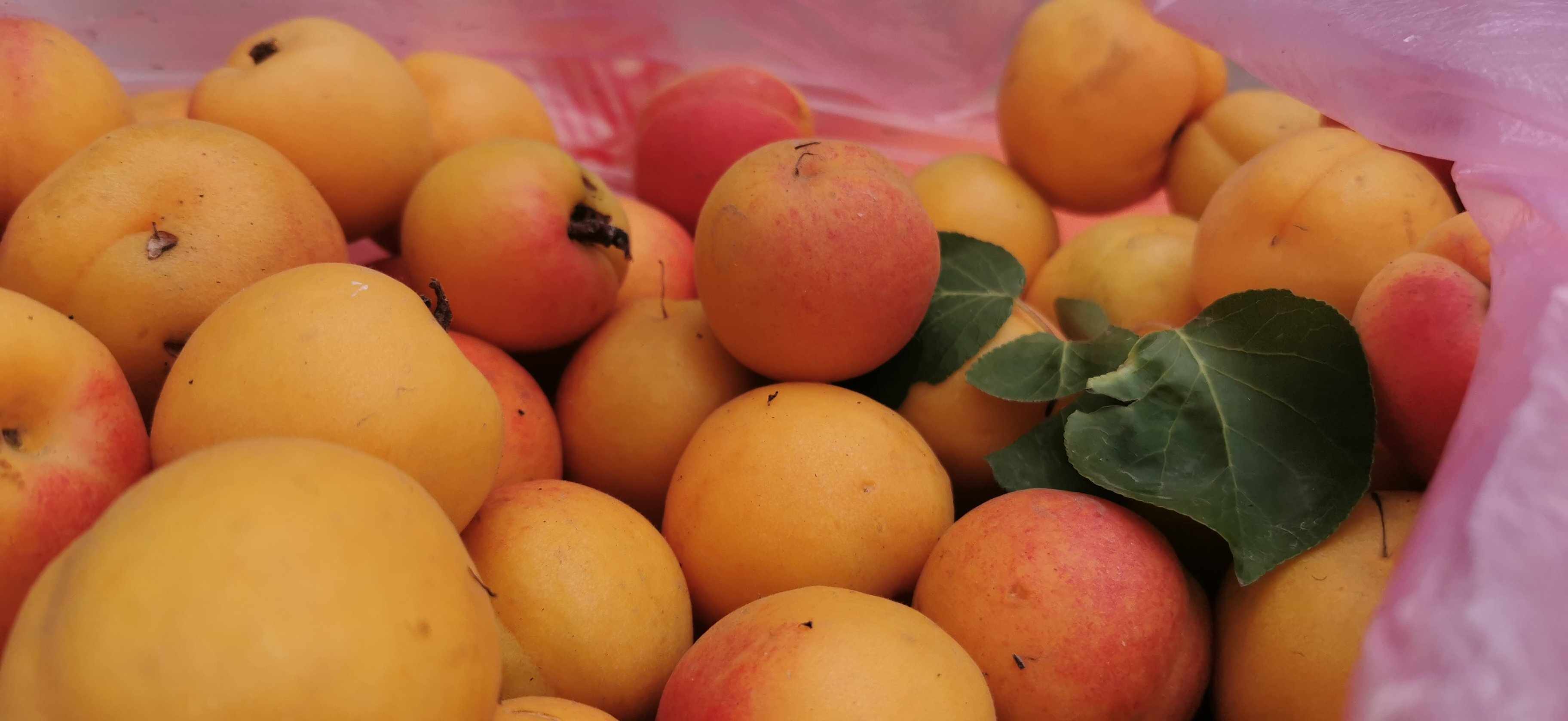 农家小院与大唐风范！