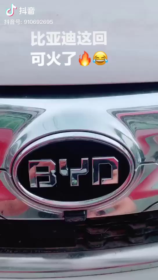 比亚迪寓意，你们这些人那