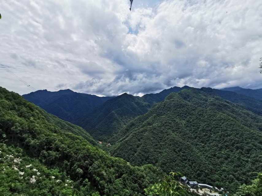 天下名哲崇黄老，自古隐贤多道家！