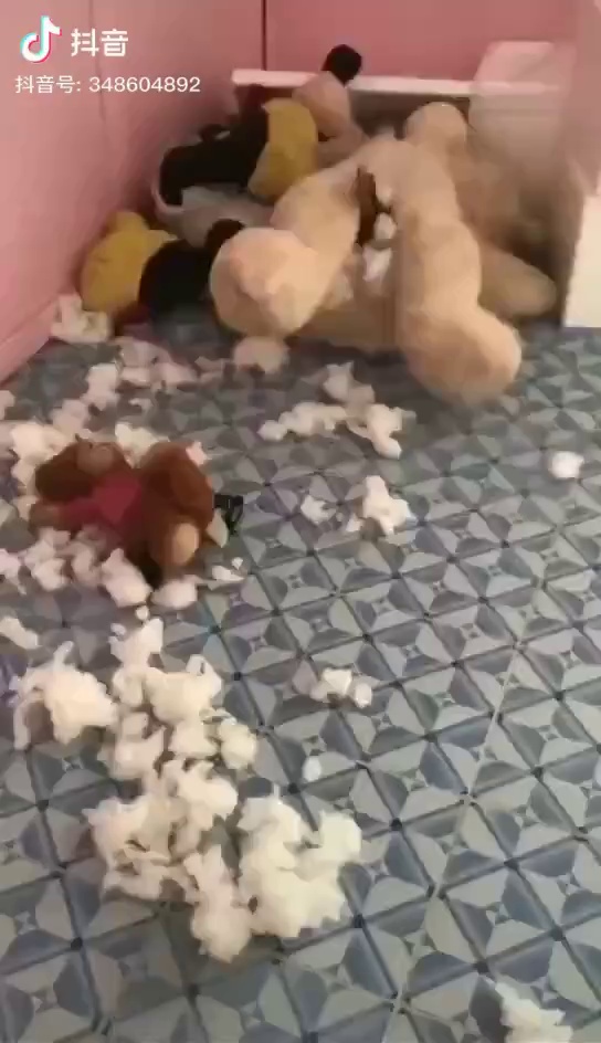 我想把这熊缝起来