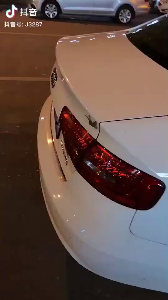 壁虎:是这里吗？是这样摆吗