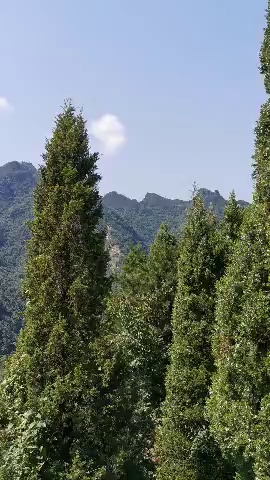 大岳武当山美景！