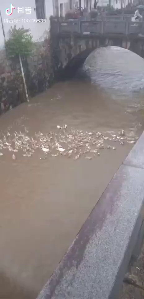 卧槽，前面有陷阱，快刹车