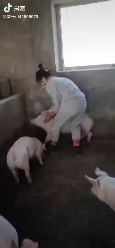 我发现我喜欢这样的
