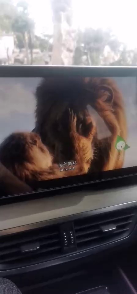 狮子王