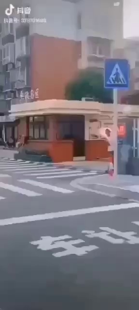 最强交规