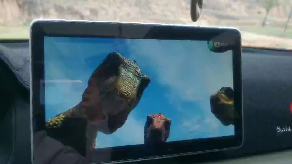 置身大自然，享受移动影院！
