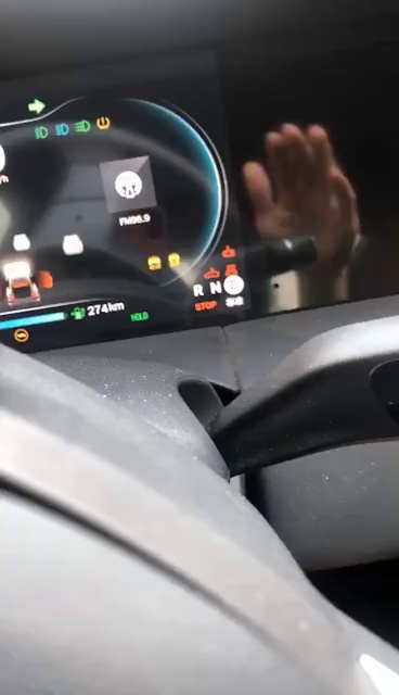 @零跑T03，你的主人狠狠拍了你