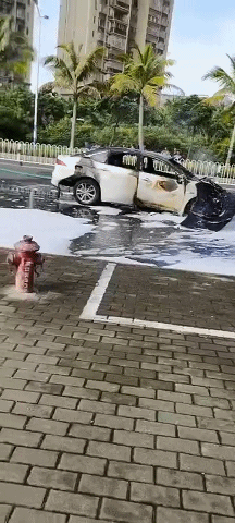 帖子1.gif