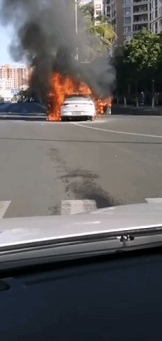 帖子3.gif
