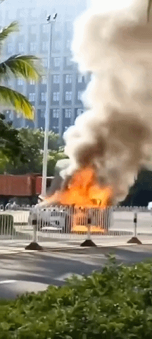 帖子2.gif