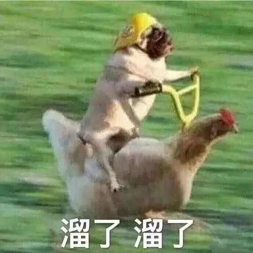 微信图片_20200811164506.jpg