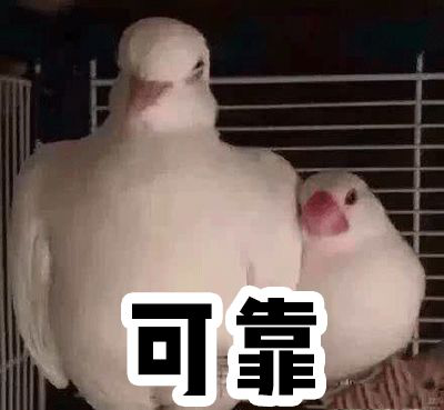 图片7.png
