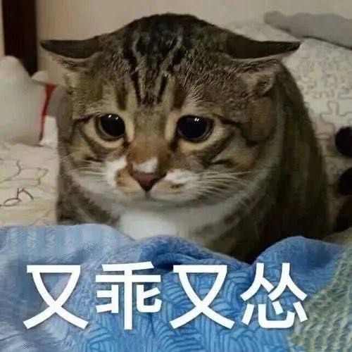 微信图片_20201014093630.jpg
