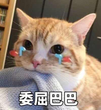 20190922010606_jheux.jpeg