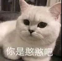 图片13.png