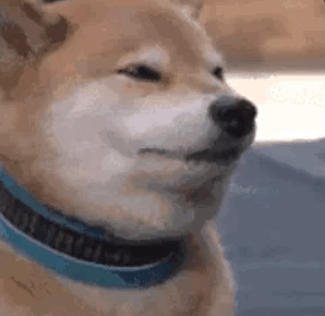 006mMMLigy1gjidjvjkspg308a082e82.gif