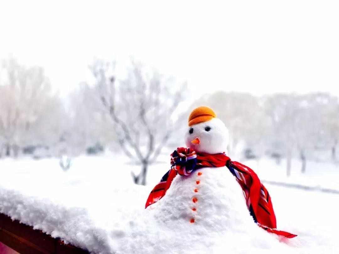 src=http___cms-adm.uzoom.com.cn_app_umeditor_php_upload_20191218_1576657497151.jpg