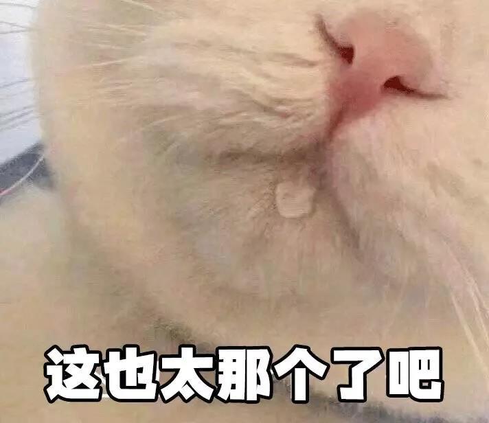 图片11.png