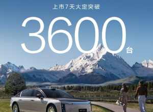 100万的车，大定3600台，还是很牛逼的。