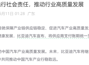 凌晨！比亚迪重磅官宣！