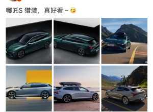 陈震还有一项特技，就是能夸死车企，哪吒，威马，高合，都被夸没了，现在压力来到了蔚来。。。