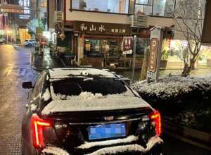 白雪皑皑，又帅又浪漫