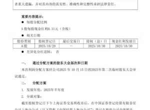 赛力斯半年度分红方案公布！