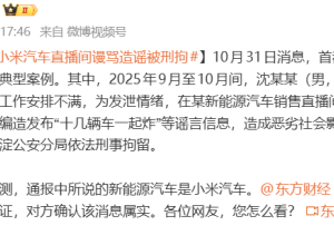 网友谩骂造谣小米汽车被刑拘