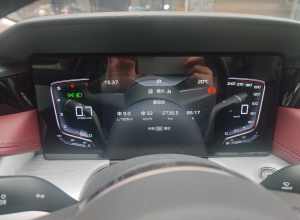 10月份都在城区跑，没跑过高速，总共跑了才277公里，但油耗从上月的8.7上升到了现在的9个。