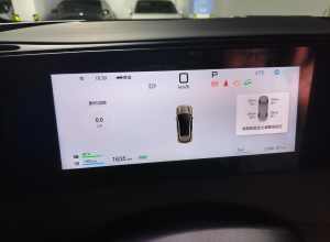 今天新提的海狮06dmi