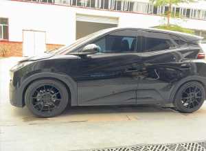 海鸥都有绞牙了!