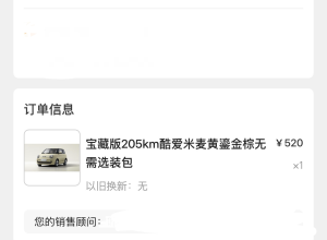 长安Lumin糯玉米宝藏版定车