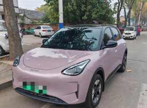 星愿车烦人小功能