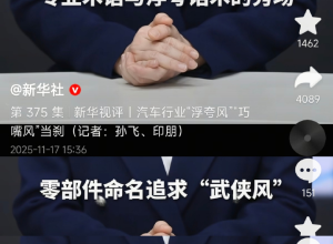 新华社怒批汽车行业“浮夸”“巧嘴”“语言**”