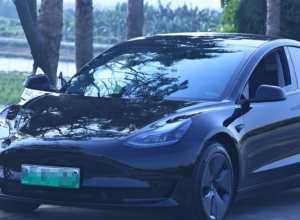 出个人23款毛豆3