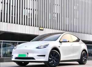 不会白买 我开的是特斯拉modely，这辆车最好用就是行车辅助驾驶