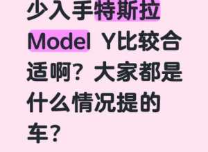 大家都是贷款买的特斯拉吗？