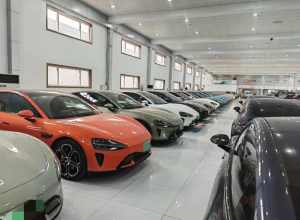 完了，全完了，小米一夜之间全完了