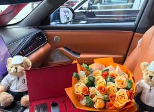 新车落地，喜气临门。前路平坦，一路顺风，平安到家。