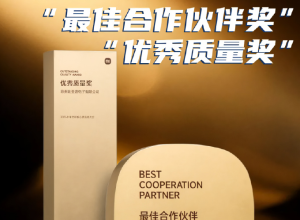 比亚迪获小米两项大奖！